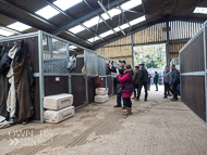 FB161021-108 - Fergal O'Brien Stable Visit